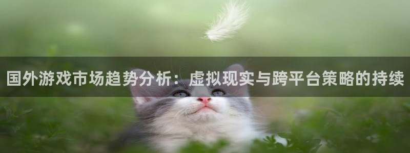 杜邦娱乐的意思：国外游戏市场趋势分析：虚拟现实与跨平台策略的
