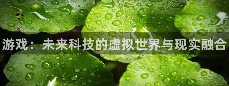 杜邦娱乐平台注册开户：游戏：未来科技的虚拟世界与现实融合