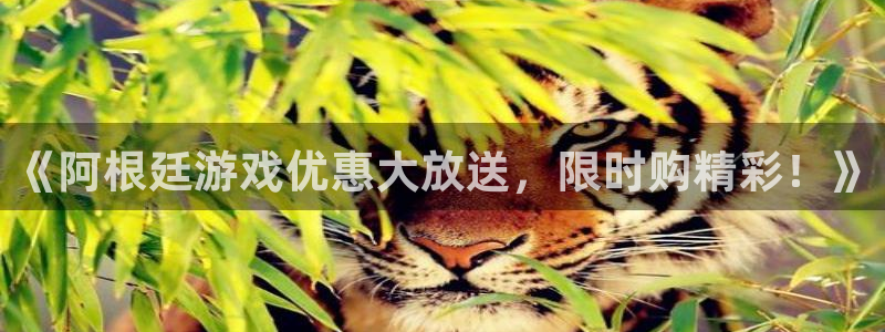杜邦娱乐网页登录入口：《阿根廷游戏优惠大放送，限时购精彩！》