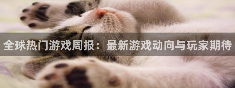 杜邦娱乐注册网站：全球热门游戏周报：最新游戏动向与玩家期待
