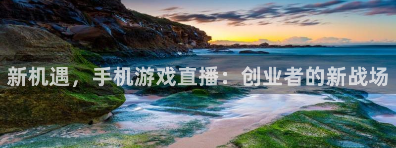 杜邦娱乐代理登陆：新机遇，手机游戏直播：创业者的新战场