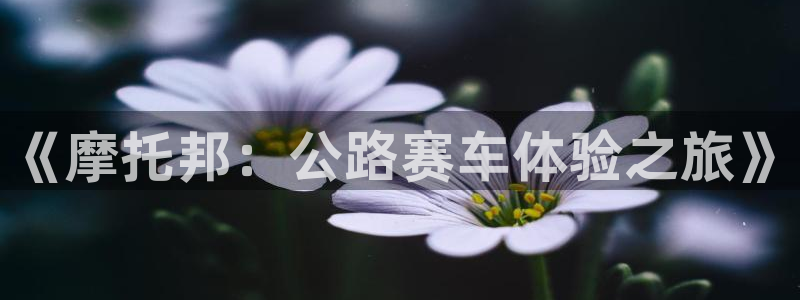 杜邦娱乐登录：《摩托邦：公路赛车体验之旅》