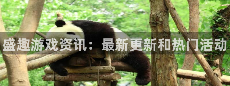杜邦娱乐是什么：盛趣游戏资讯：最新更新和热门活动