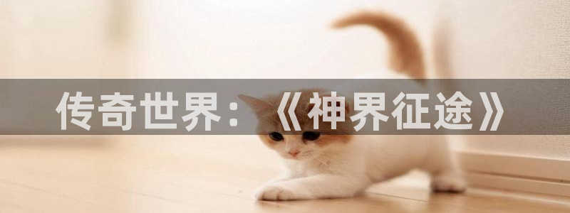 杜邦娱乐网页登录入口：传奇世界：《神界征途》