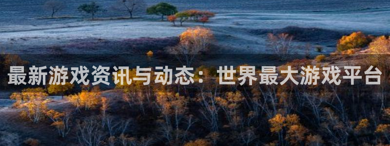 杜邦娱乐平台：最新游戏资讯与动态：世界最大游戏平台