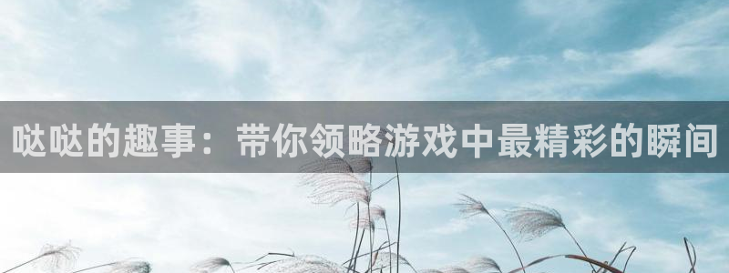 杜邦娱乐app官网入口在哪