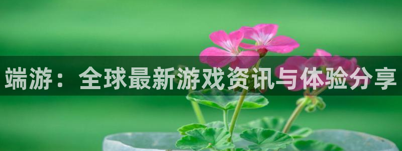杜邦娱乐675官网入口