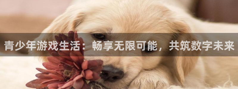 杜邦娱乐嘉675.138的详细介绍：青少年游戏生活：畅享无限