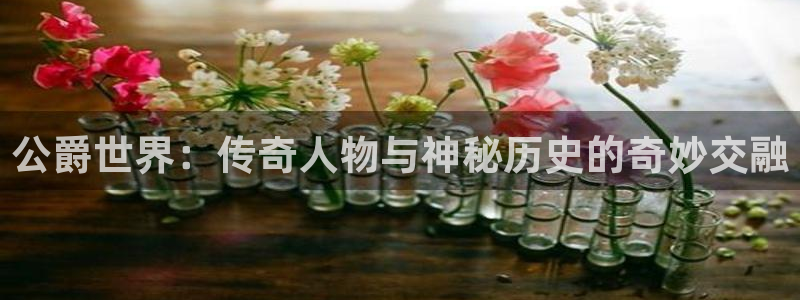杜邦娱乐嘉675.138的详细介绍