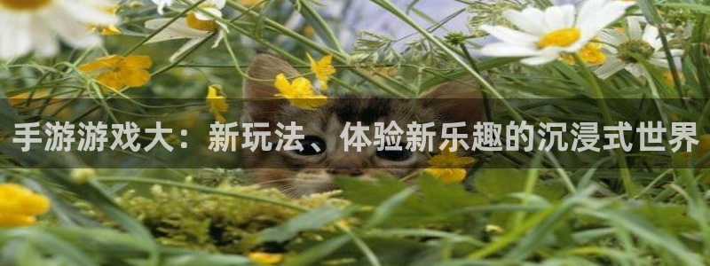 杜邦娱乐集团：手游游戏大：新玩法、体验新乐趣的沉浸式世界
