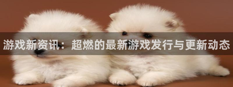 杜邦娱乐平台官网注册