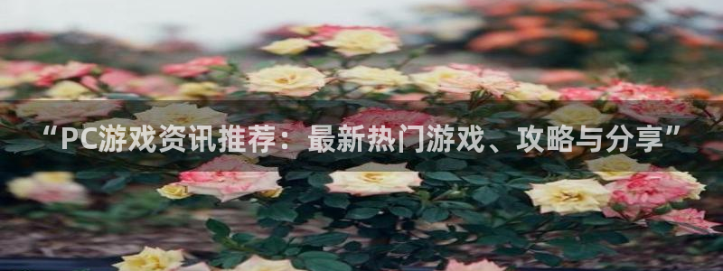 杜邦娱乐官网登录：“PC游戏资讯推荐：最新热门游戏、攻略与分