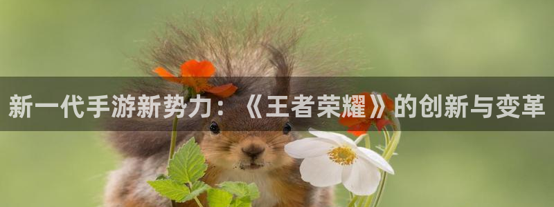 杜邦娱乐平台官网客服电话