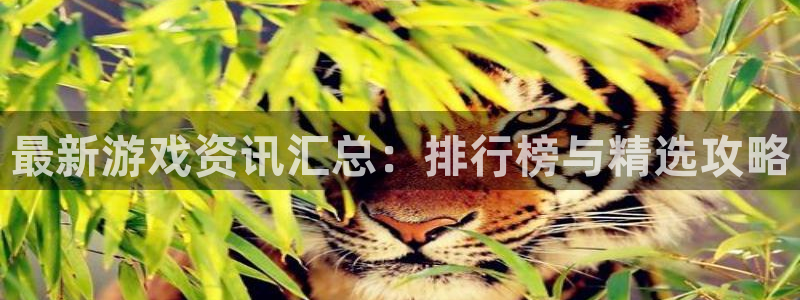 杜邦娱乐测速登陆