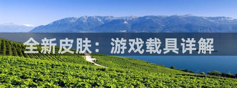 杜邦娱乐下载链接：全新皮肤：游戏载具详解